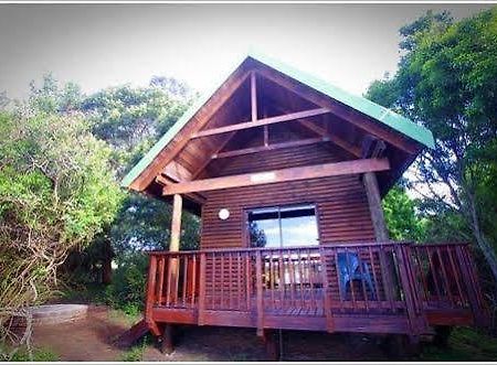 Kragga Kamma Game Park 호텔 포트엘리자베스 외부 사진