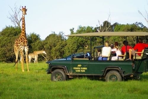 Kragga Kamma Game Park 호텔 포트엘리자베스 외부 사진
