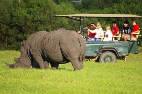 Kragga Kamma Game Park 호텔 포트엘리자베스 외부 사진