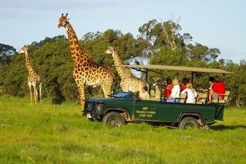 Kragga Kamma Game Park 호텔 포트엘리자베스 외부 사진